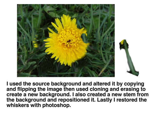 Creation of Dandelion: Step 4